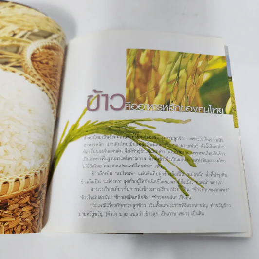 ข้าวกล้อง ข้าวงอก มหัศจรรย์อาหารต้านโรค รูปที่ 12