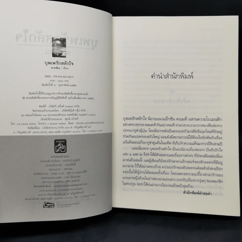 บุพเพรักสลักใจ - พายพิณ รูปที่ 8