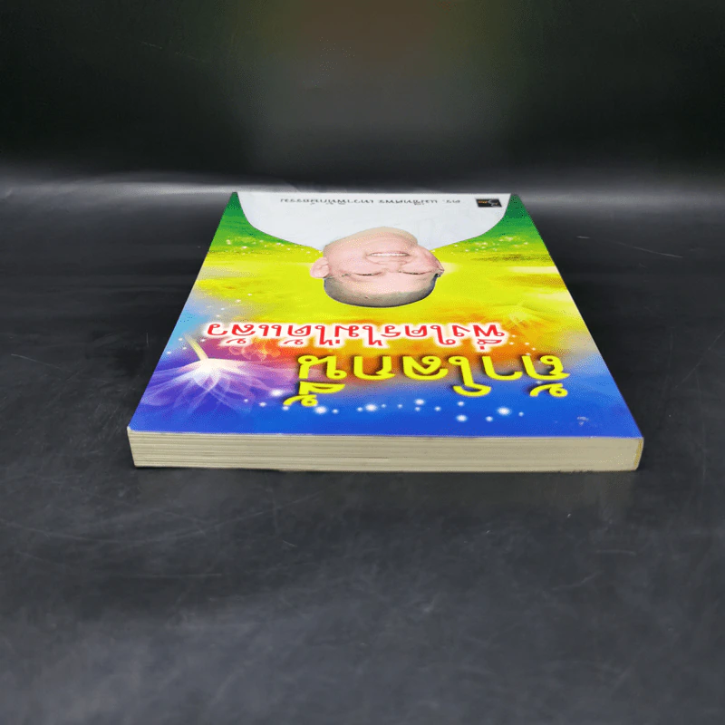 ถ้าโลกนี้พึ่งใครไม่ได้แล้ว - ดร.แม่ชีทศพร เทวาพิทักษ์ธรรม รูปที่ 6