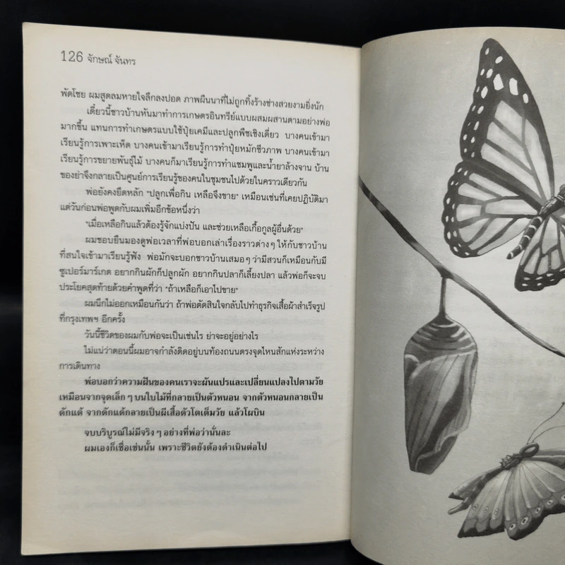เซนในสวน - จักษณ์ จันทร รูปที่ 13