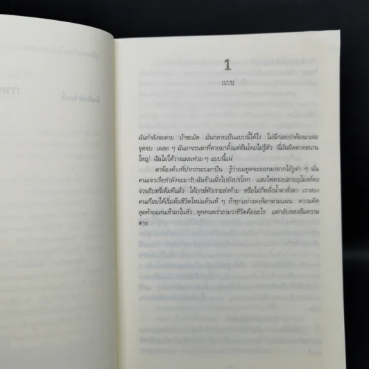 เชิดหุ่นเชือด Nemesis - Jo Nesbo (โย เนสเบอ) รูปที่ 9