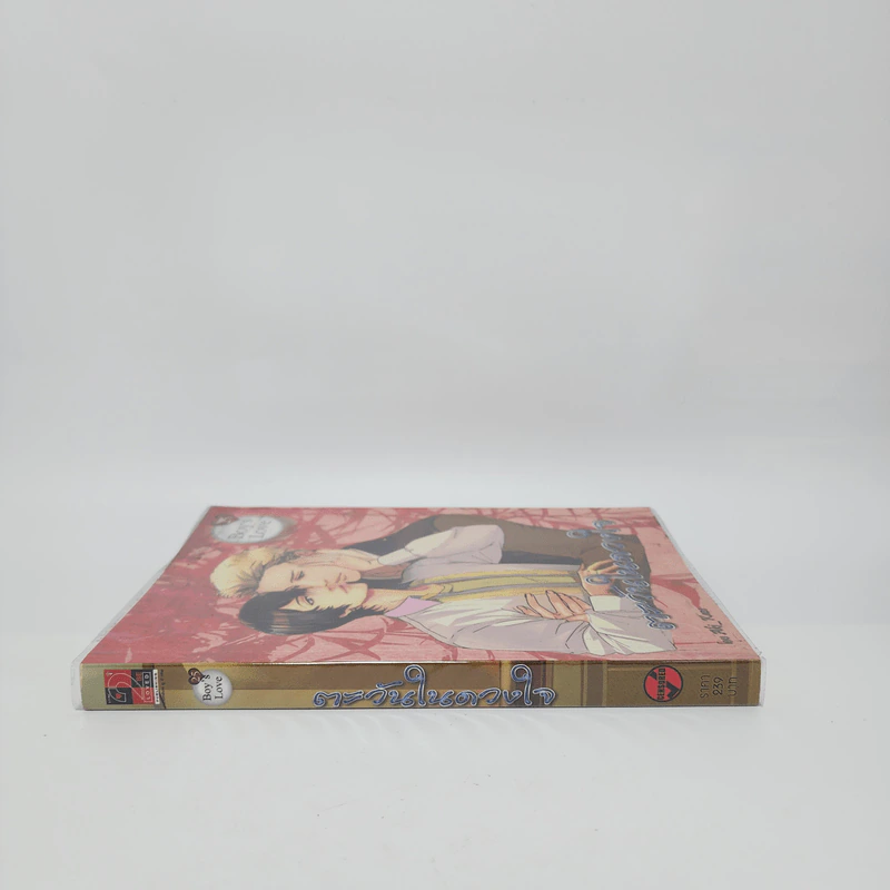 นิยายวาย ตะวันในดวงใจ - Aki_Kaze รูปที่ 2