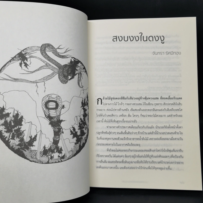 สงบงงในดงงู - วรรณกรรมรางวัลพานแว่นฟ้าประจำปี 2559 รูปที่ 10