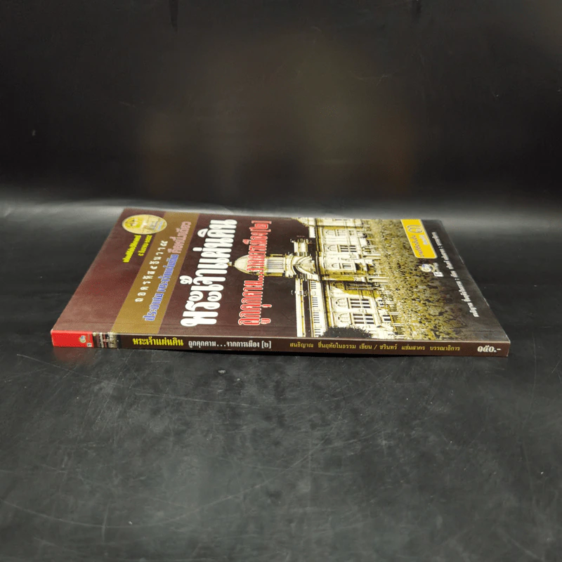 พระเจ้าแผ่นดิน ถูกคุกคามจากการเมือง เล่ม 2 - สนธิญาณ ชื่นฤทัยในธรรม รูปที่ 3