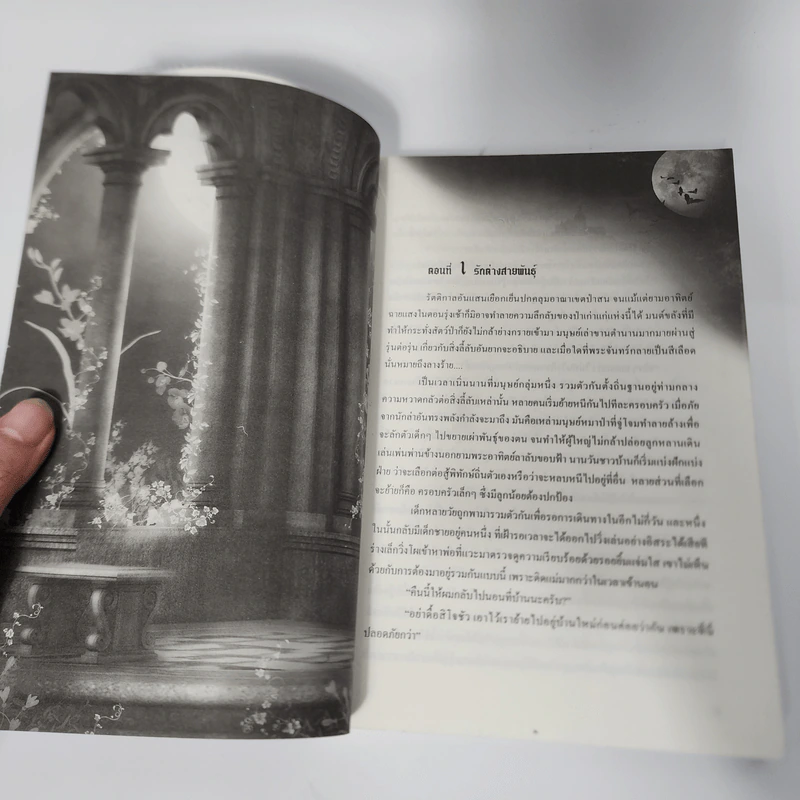 นิยายวาย เขี้ยวสนธยา - Muggle รูปที่ 11