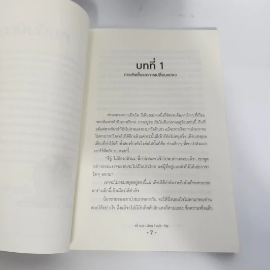 นิยายวาย The Accountant's Companion บุปผาลวงใจ - ลวี่กวง รูปที่ 13