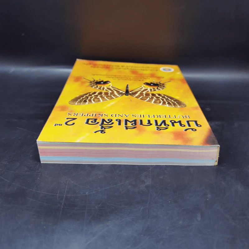 บันทึกผีเสื้อ 2 Butterflies and Skippers รูปที่ 6