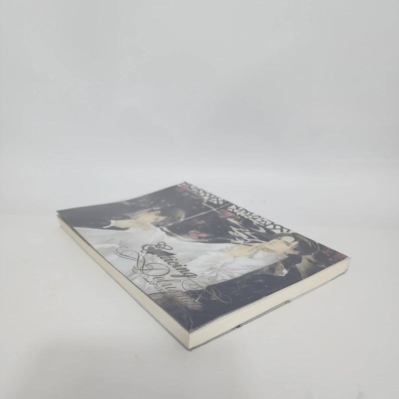 นิยายวาย บ่วงเล่ห์ Enticing Delusion 2 เล่มจบ - หลันหลิน รูปที่ 6