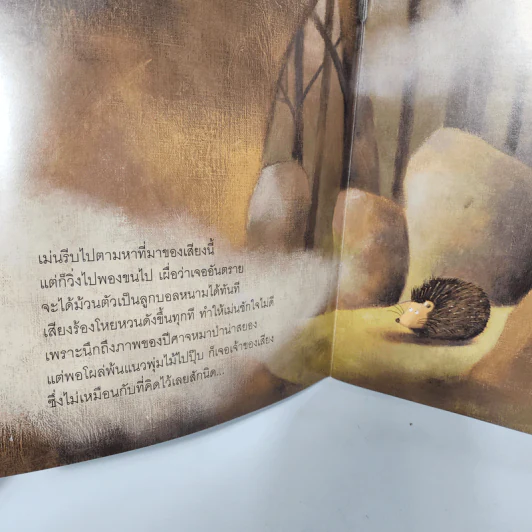 นิทาน ฮูกน้อยขี้แย - พอล ฟรีสเตอร์ รูปที่ 6