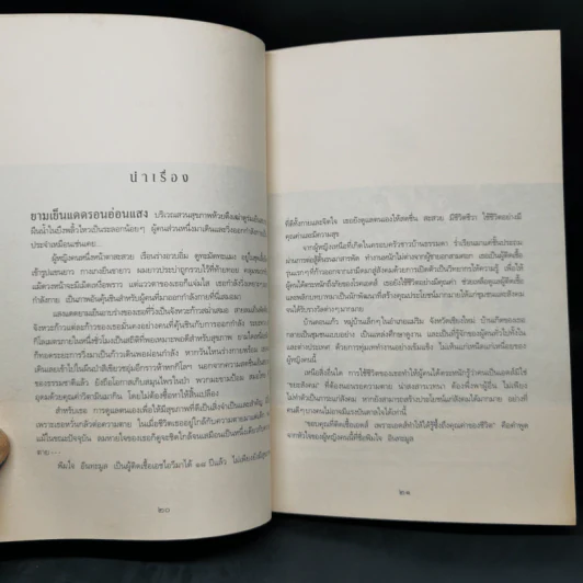 เช้าวันใหม่ในเงามืด: พิมใจ อินทะมูล - อรสุม สุทธิสาคร รูปที่ 10