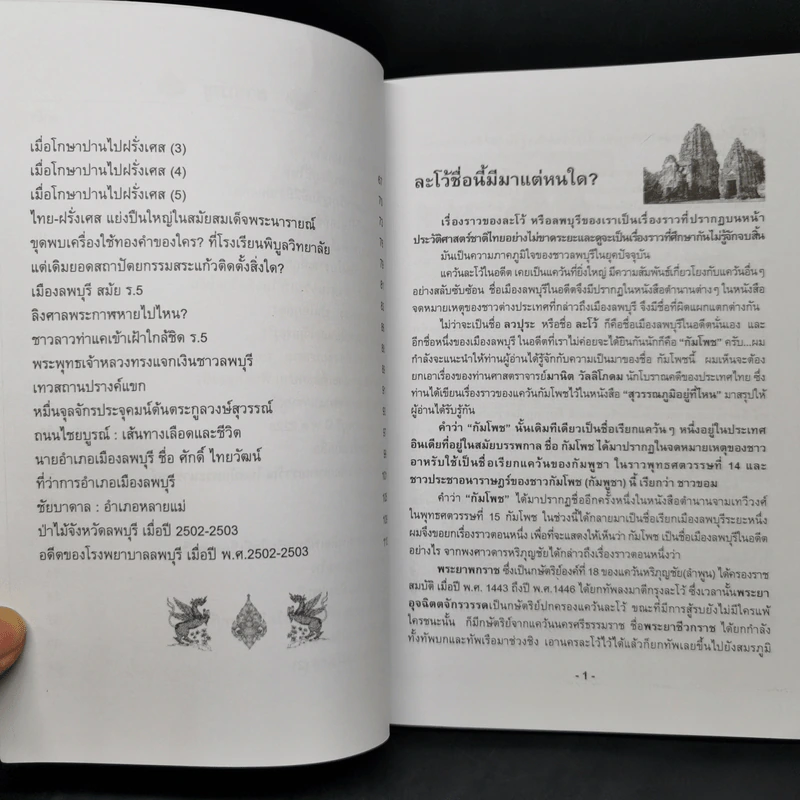 รอยอดีตเมืองลพบุรี - วรวิทย์ วงษ์สุวรรณ์ รูปที่ 10
