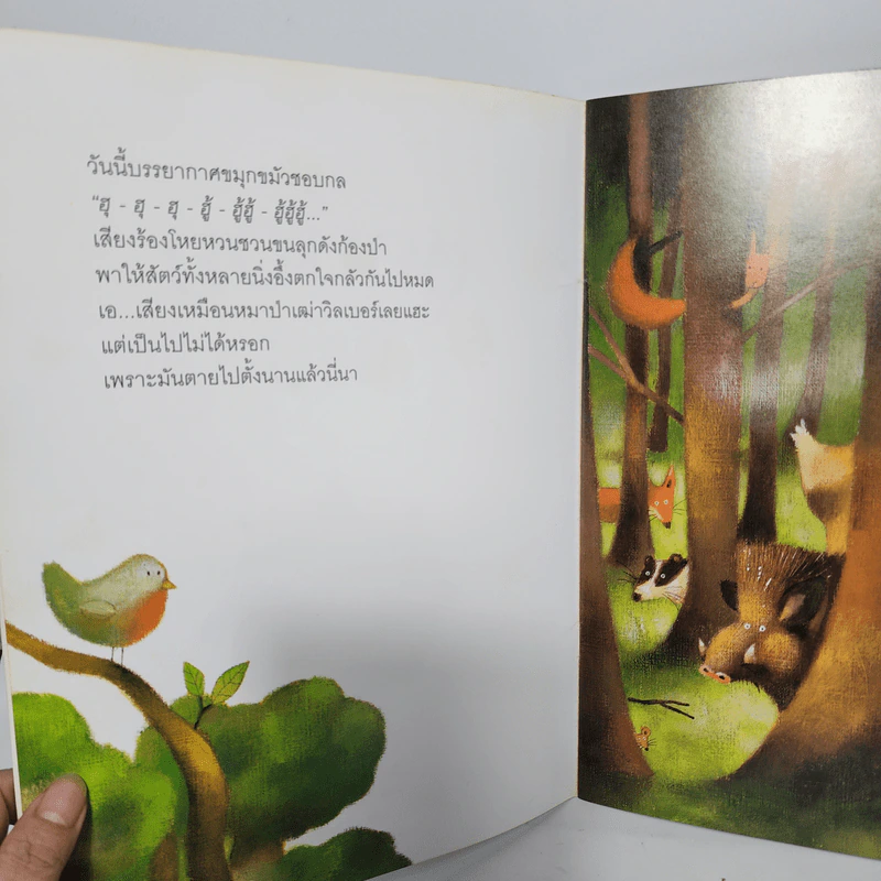 นิทาน ฮูกน้อยขี้แย - พอล ฟรีสเตอร์ รูปที่ 5
