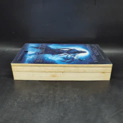 Shadowcaster - Cinda Williams Chima รูปที่ 5