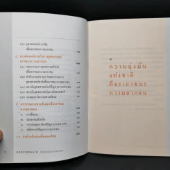 ยุทธศาสตร์ชาติเพื่อเอาชนะความยากจน - ศาสตราจารย์นายแพทย์ประเวศ วะสี รูปที่ 9