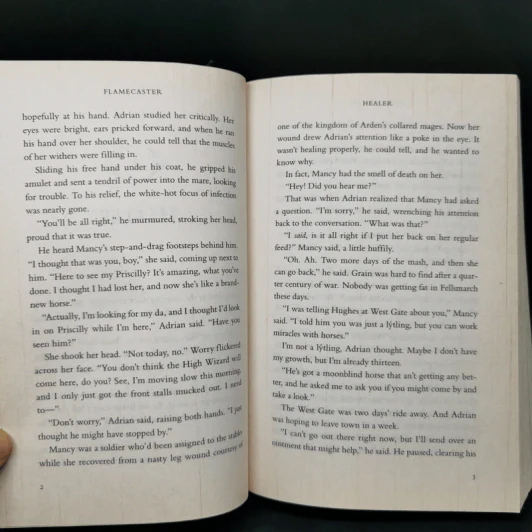 Flamecaster - Cinda Williams Chima รูปที่ 9