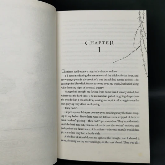 A Court of Thorns and Roses - Sarah J. Maas รูปที่ 10