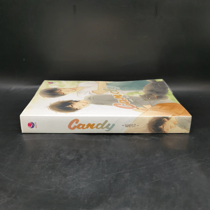 นิยายวาย Candy - West รูปที่ 3