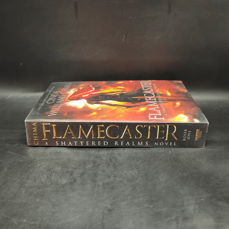 Flamecaster - Cinda Williams Chima รูปที่ 3