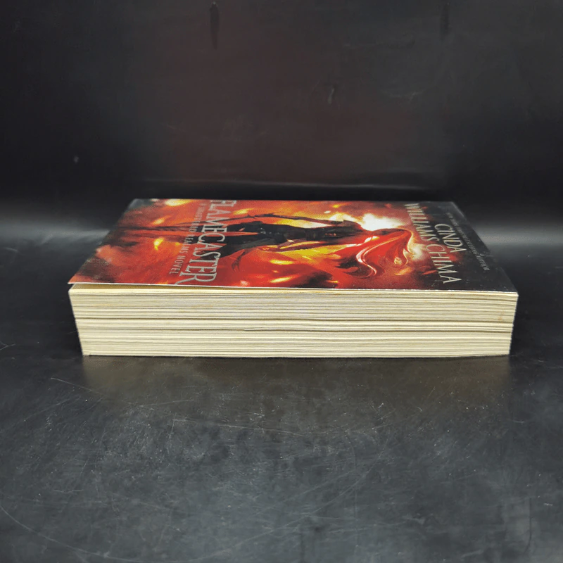 Flamecaster - Cinda Williams Chima รูปที่ 5
