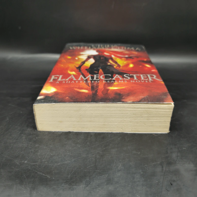 Flamecaster - Cinda Williams Chima รูปที่ 4