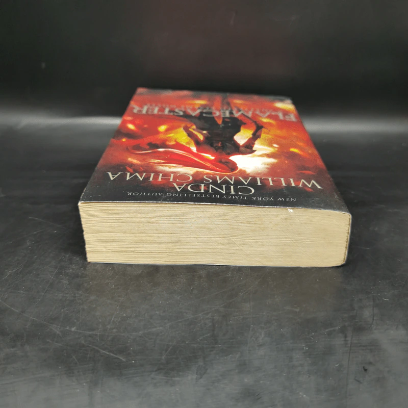 Flamecaster - Cinda Williams Chima รูปที่ 6
