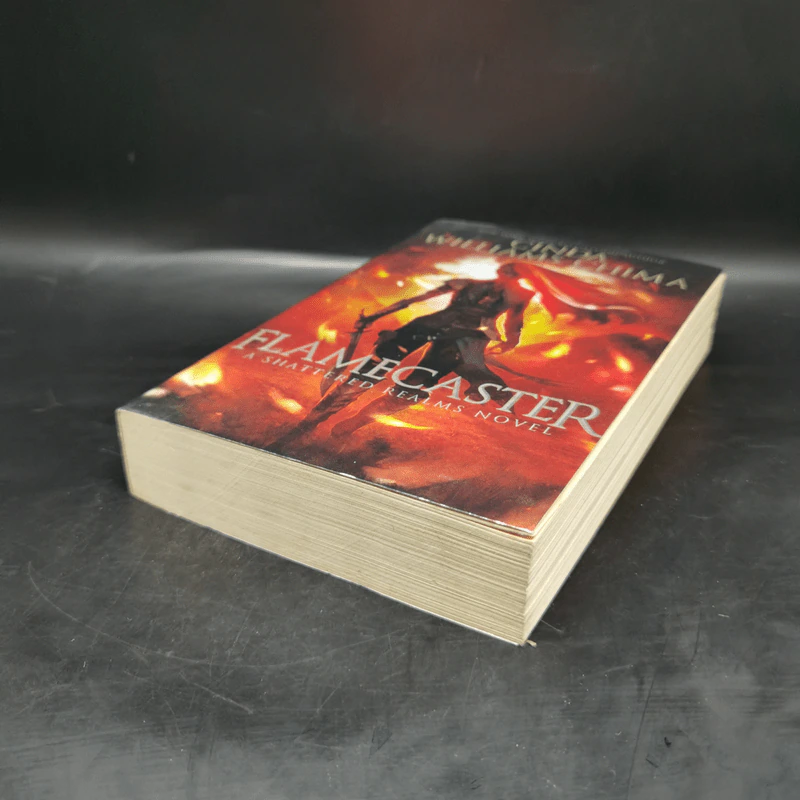 Flamecaster - Cinda Williams Chima รูปที่ 7