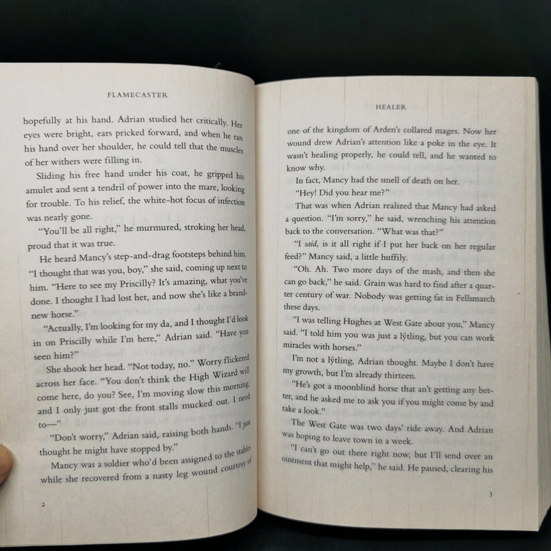 Flamecaster - Cinda Williams Chima รูปที่ 9