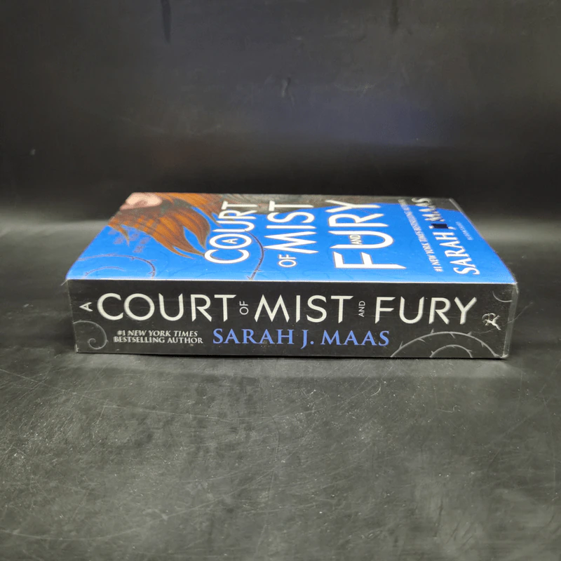 A Court of Mist and Fury - Sarah J. Maas รูปที่ 3