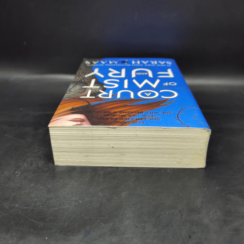 A Court of Mist and Fury - Sarah J. Maas รูปที่ 6