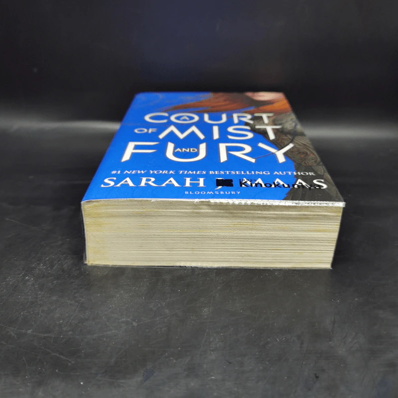 A Court of Mist and Fury - Sarah J. Maas รูปที่ 4