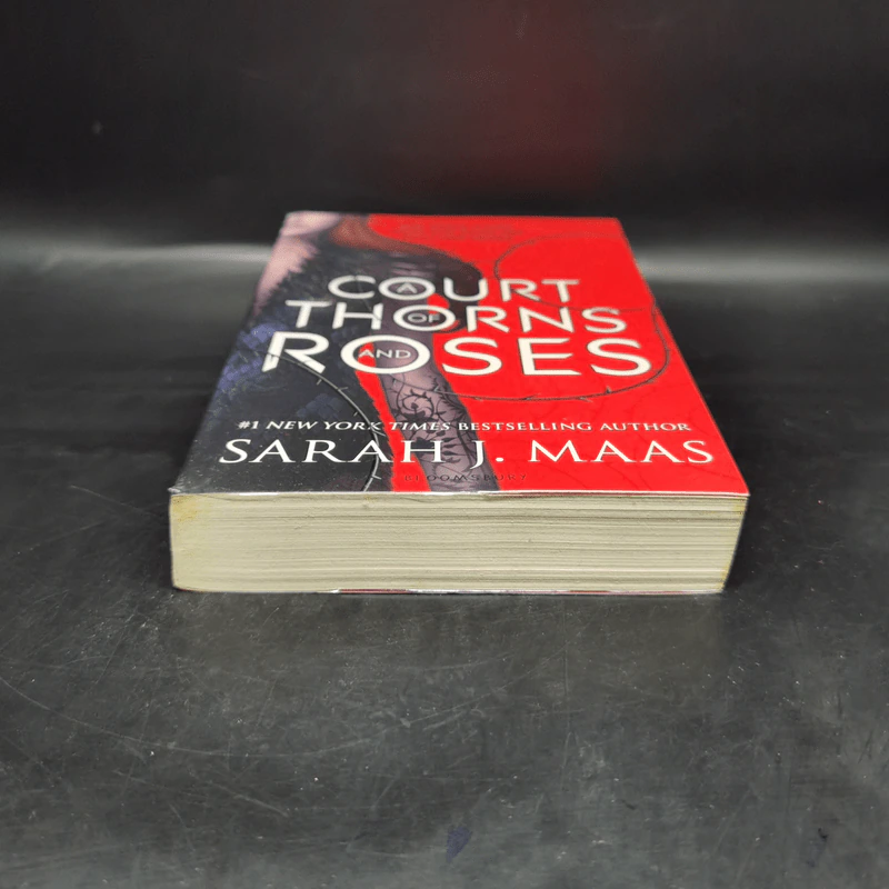 A Court of Thorns and Roses - Sarah J. Maas รูปที่ 4