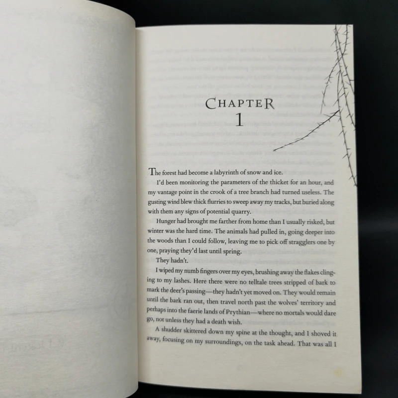 A Court of Thorns and Roses - Sarah J. Maas รูปที่ 10