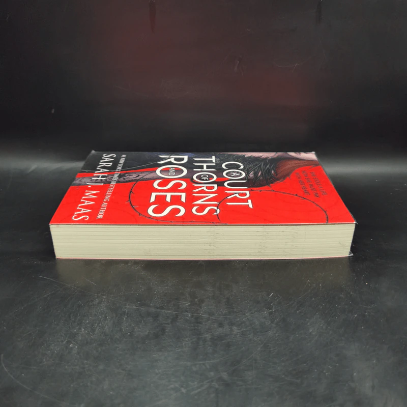 A Court of Thorns and Roses - Sarah J. Maas รูปที่ 5