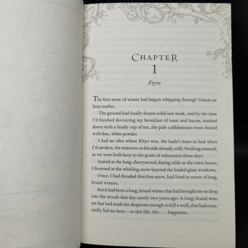 A Court of Frost and Starlight - Sarah J. Maas รูปที่ 10