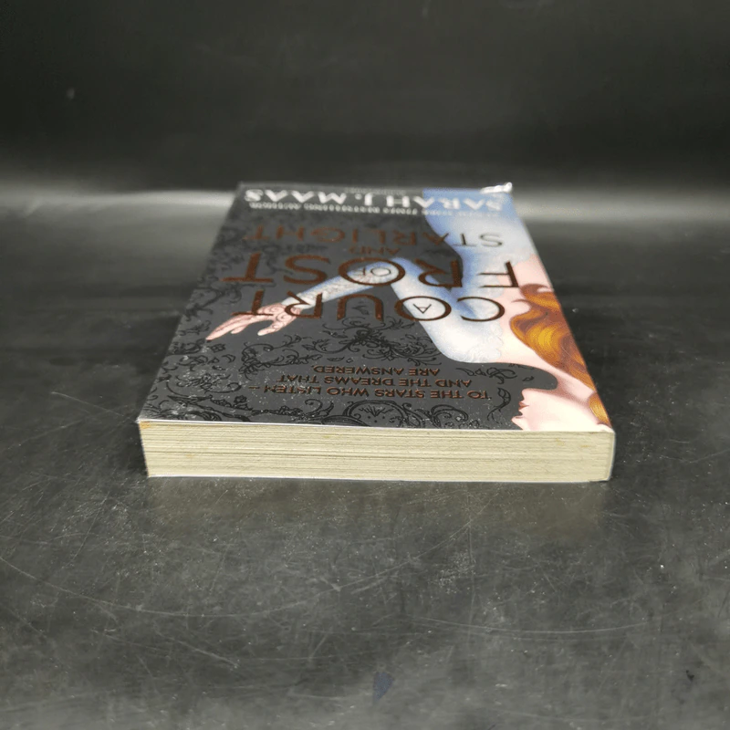 A Court of Frost and Starlight - Sarah J. Maas รูปที่ 6
