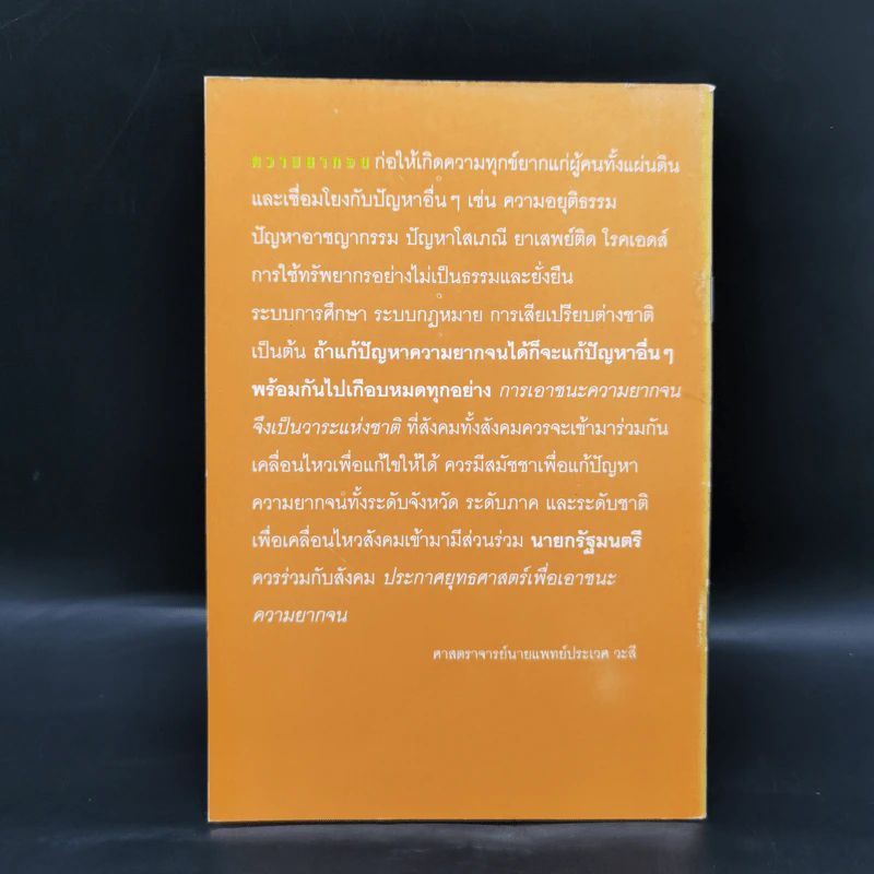 ยุทธศาสตร์ชาติเพื่อเอาชนะความยากจน - ศาสตราจารย์นายแพทย์ประเวศ วะสี รูปที่ 2