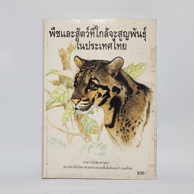 พืชและสัตว์ที่ใกล้จะสูญพันธุ์ในประเทศไทย รูปที่ 1