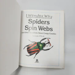 Spiders Spin Webs - Amanda O'Neill รูปที่ 4