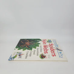 Spiders Spin Webs - Amanda O'Neill รูปที่ 3