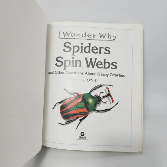 Spiders Spin Webs - Amanda O'Neill รูปที่ 4