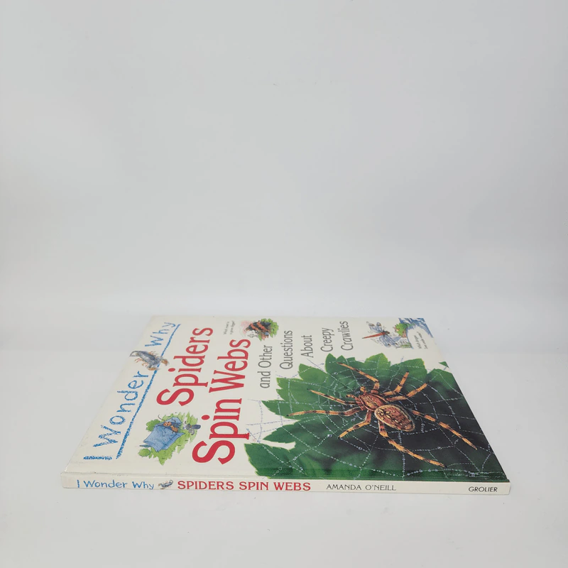 Spiders Spin Webs - Amanda O'Neill รูปที่ 2