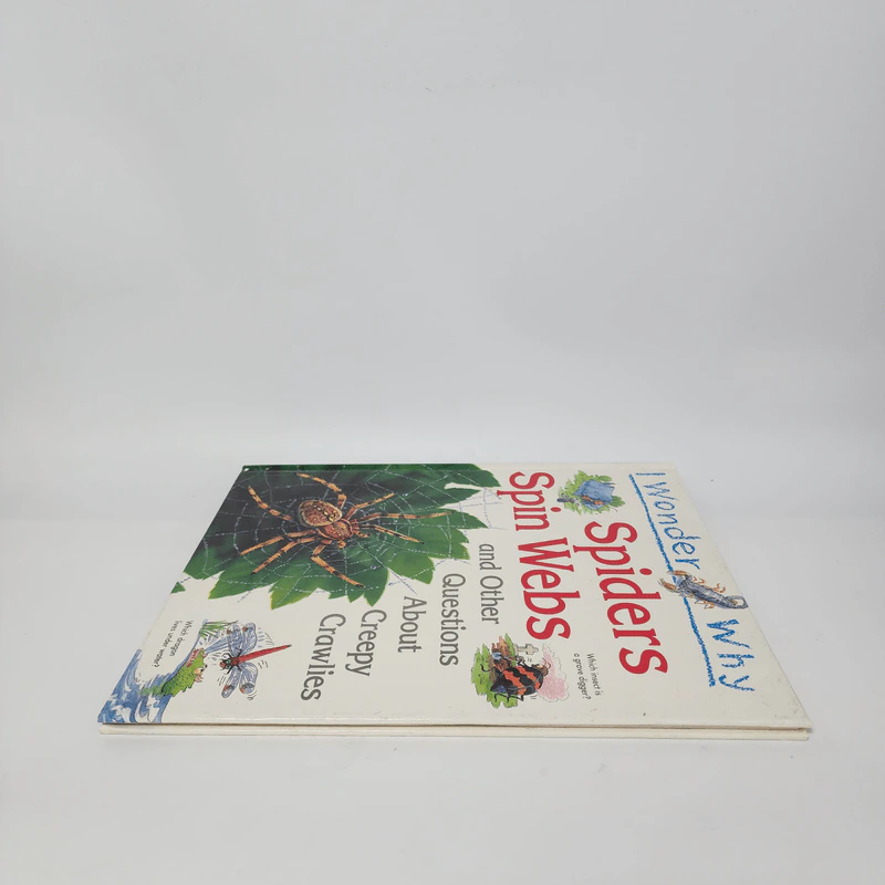 Spiders Spin Webs - Amanda O'Neill รูปที่ 3