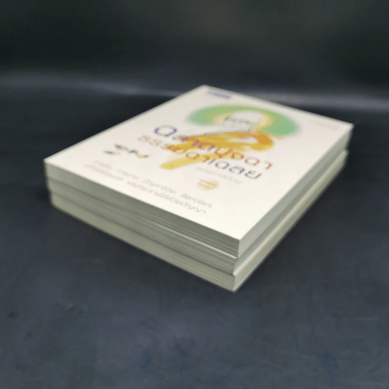 พร Blessing พุทธทาส หนังสือชุดอาจาริยบูชา Boxset 3 เล่ม รูปที่ 9