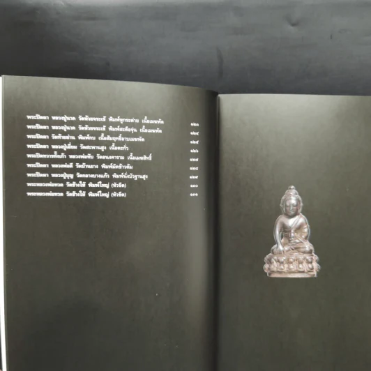 พระเครื่องพันล้าน - องอาจ จิระอร รูปที่ 10