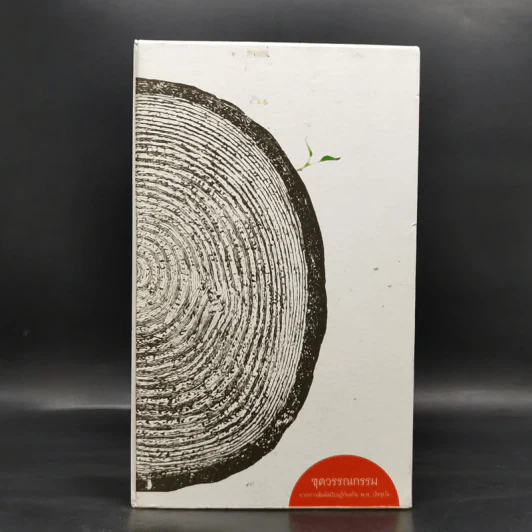 Boxset ชุดวรรณกรรมจากการสัมผัสเรียนรู้ท้องถิ่น พ.ศ.ปัจจุบัน 9 เล่ม รูปที่ 1