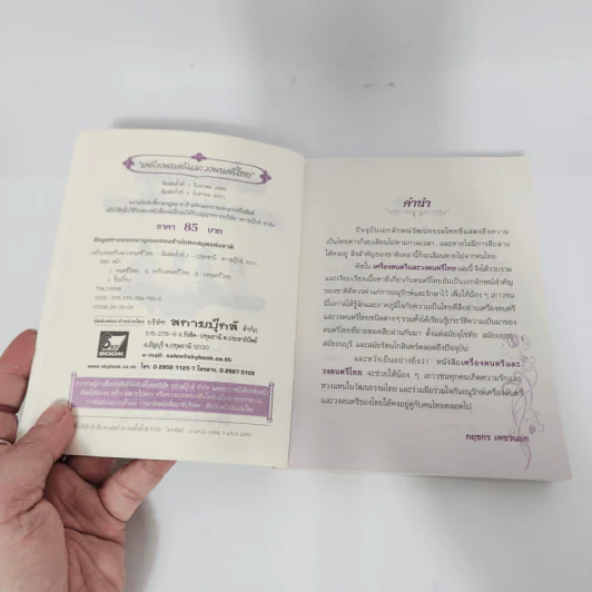เครื่องดนตรีและวงดนตรีไทย รูปที่ 9