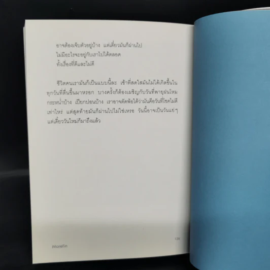 น่าเสียดายที่ตลอดไปไม่เกิดขึ้นจริง - Morefin รูปที่ 11
