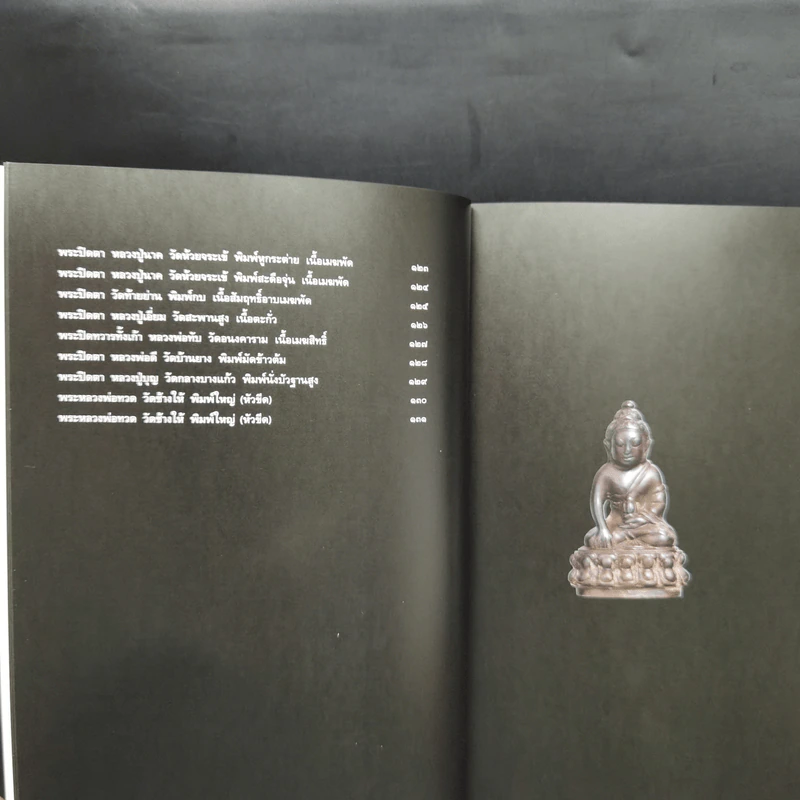 พระเครื่องพันล้าน - องอาจ จิระอร รูปที่ 10