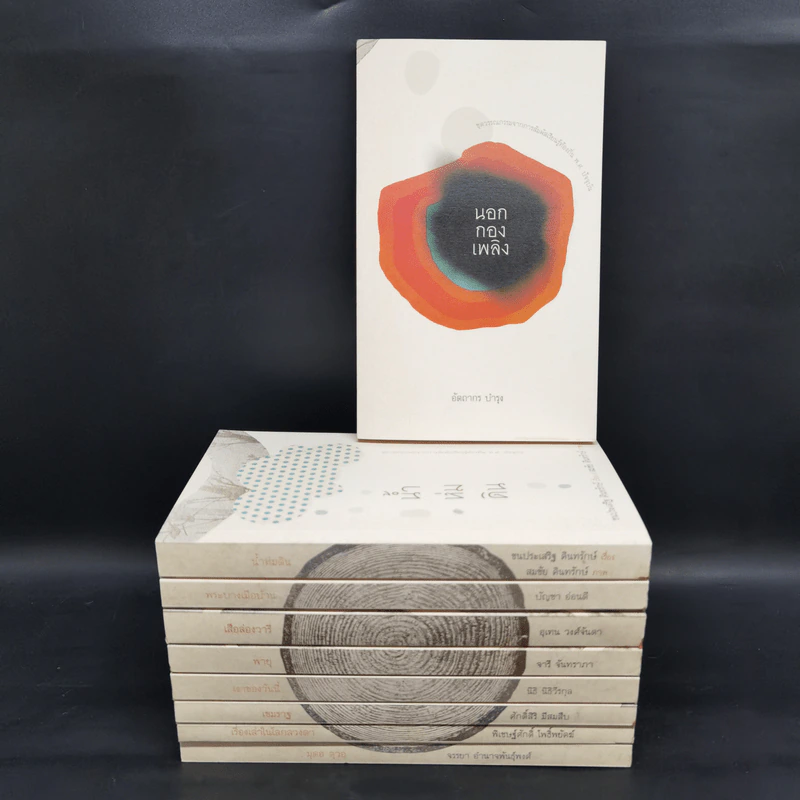 Boxset ชุดวรรณกรรมจากการสัมผัสเรียนรู้ท้องถิ่น พ.ศ.ปัจจุบัน 9 เล่ม รูปที่ 5