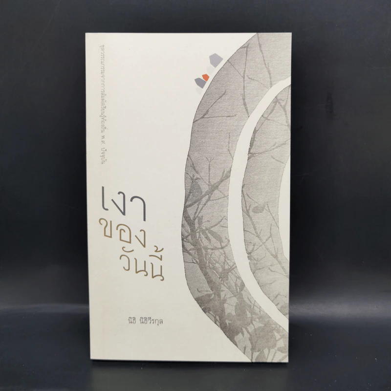Boxset ชุดวรรณกรรมจากการสัมผัสเรียนรู้ท้องถิ่น พ.ศ.ปัจจุบัน 9 เล่ม รูปที่ 17